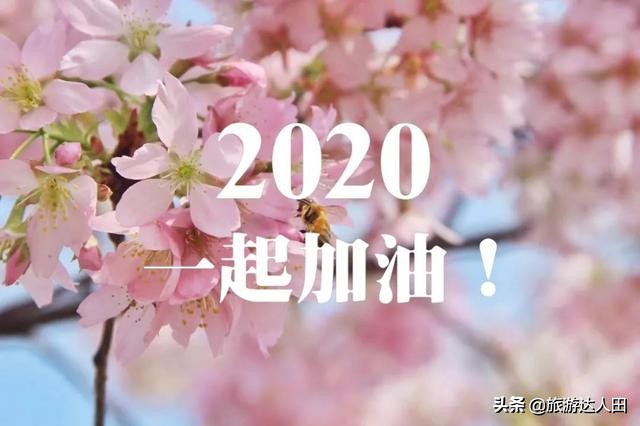 今日科普一下！多地景区叫停商拍,百科词条爱好_2024最新更新