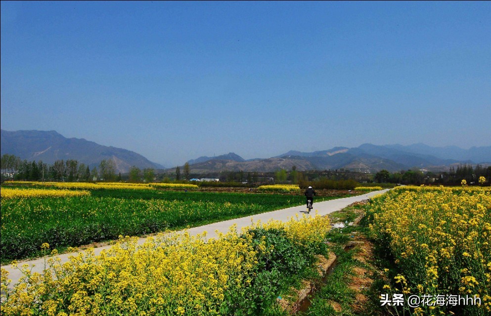 今日科普一下！奔驰醉驾撞死祖孙俩,百科词条爱好_2024最新更新