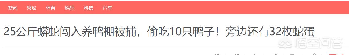 今日科普一下！村里突然冒出32个洞,百科词条爱好_2024最新更新