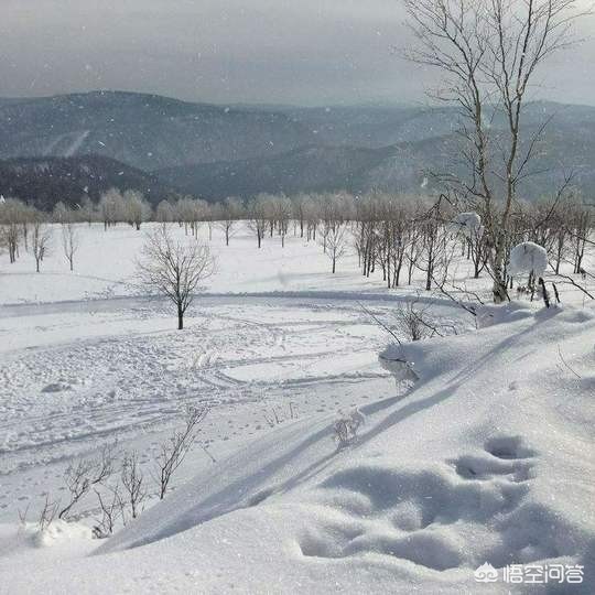 今日科普一下！黑悟空雪雕修复了,百科词条爱好_2024最新更新