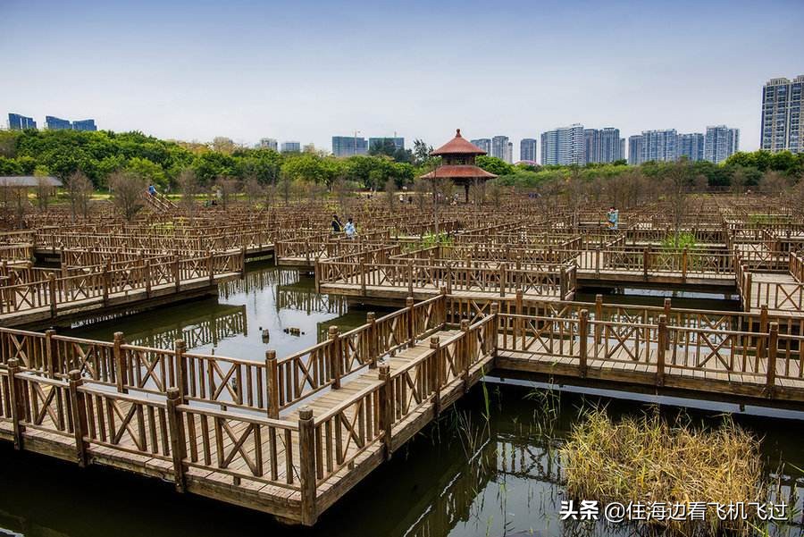 今日科普一下！植物园内流浪猫死亡,百科词条爱好_2024最新更新