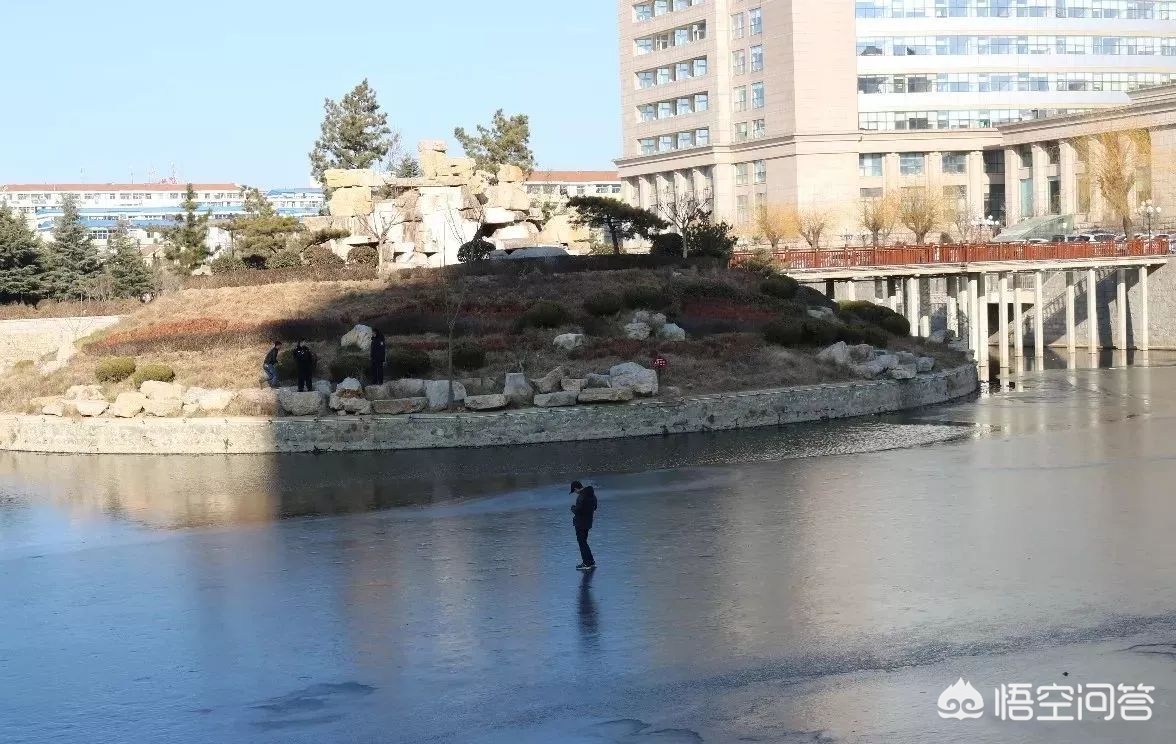 今日科普一下！学生签自杀承诺书,百科词条爱好_2024最新更新