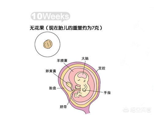 今日科普一下！晾晒的衣服酷似人形,百科词条爱好_2024最新更新