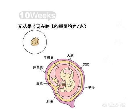 今日科普一下！晾晒的衣服酷似人形,百科词条爱好_2024最新更新