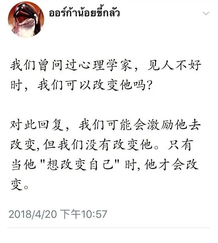 今日科普一下！高速上吵架车祸爆胎,百科词条爱好_2024最新更新