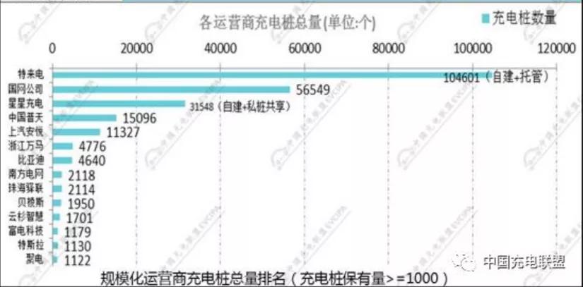 今日科普一下！比亚迪SUV撞死巨鳄,百科词条爱好_2024最新更新