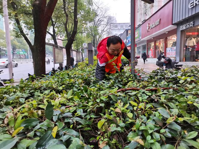 今日科普一下！帮环卫工丈母娘扫街,百科词条爱好_2024最新更新