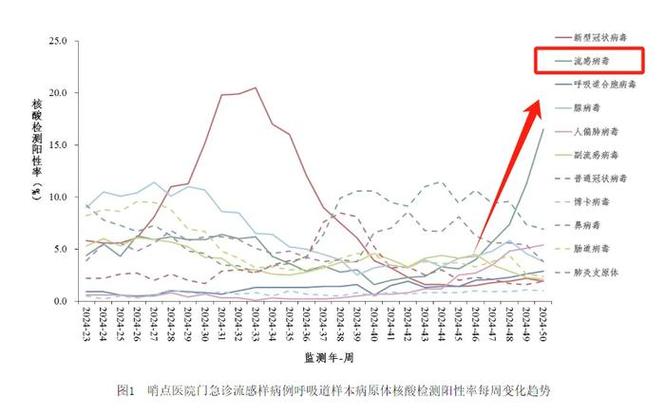 今日科普一下！近期人偏肺病毒流行,百科词条爱好_2024最新更新