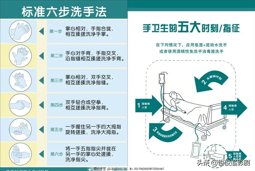 今日科普一下！近期人偏肺病毒流行,百科词条爱好_2024最新更新