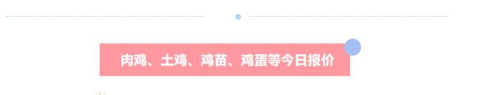 今日科普一下！超市半年丢10万鸡蛋,百科词条爱好_2024最新更新