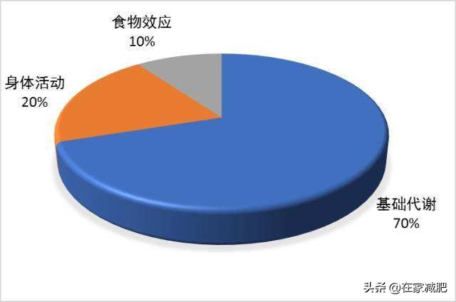 今日科普一下！被女孩嫌胖减肥20斤,百科词条爱好_2024最新更新