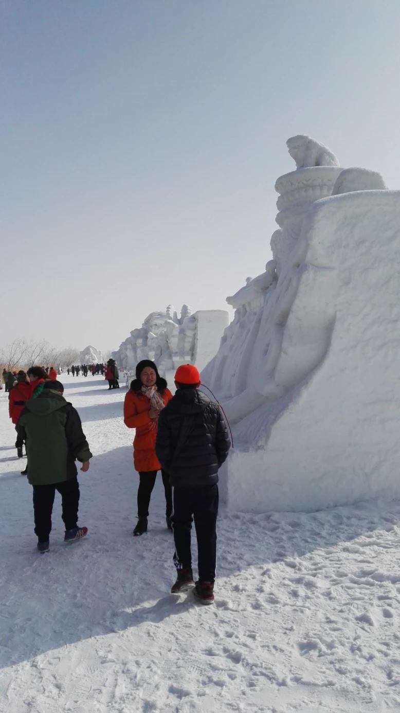 今日科普一下！新疆雪后现大地之树,百科词条爱好_2024最新更新