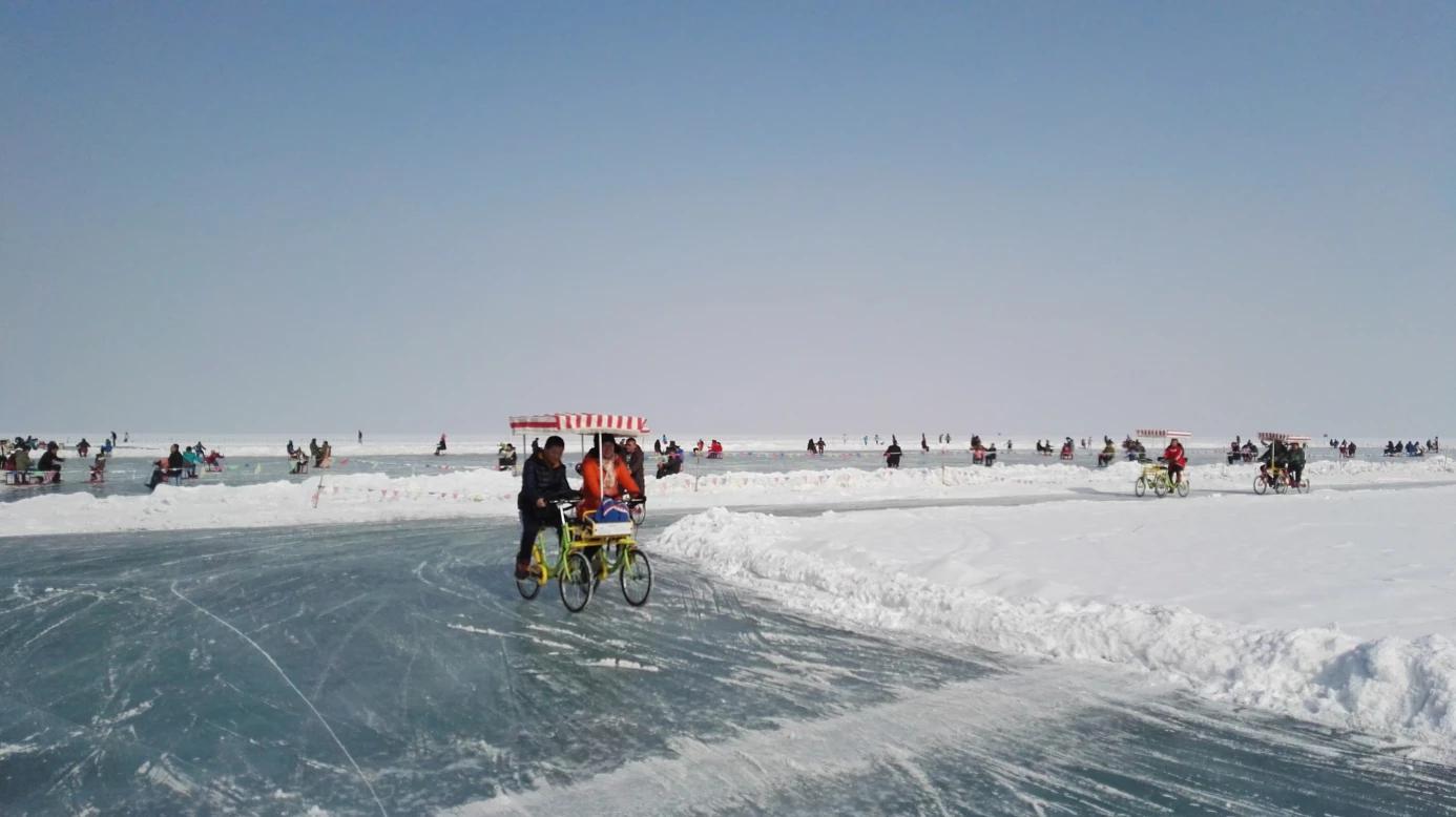 今日科普一下！新疆雪后现大地之树,百科词条爱好_2024最新更新