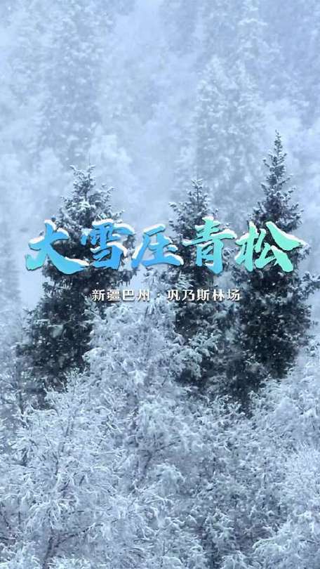 今日科普一下！日本遭十年一遇大雪,百科词条爱好_2024最新更新