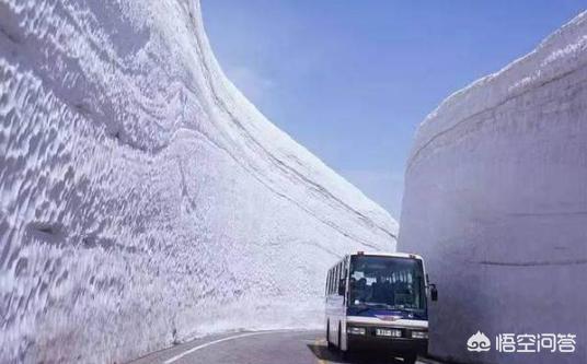 今日科普一下！日本遭十年一遇大雪,百科词条爱好_2024最新更新