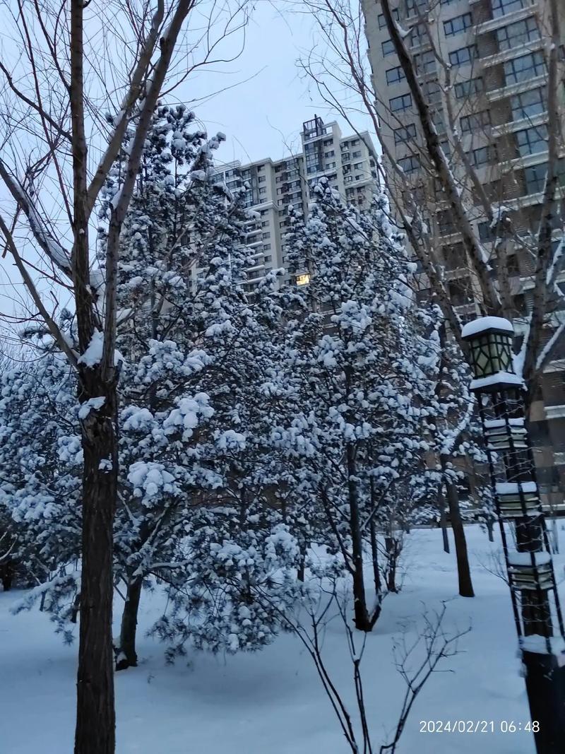 今日科普一下！上海或迎初雪,百科词条爱好_2024最新更新