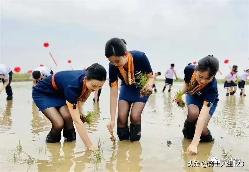 今日科普一下！刘强东母亲夸章泽天,百科词条爱好_2024最新更新