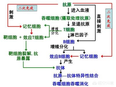 今日科普一下！流感不吃药能好吗,百科词条爱好_2024最新更新