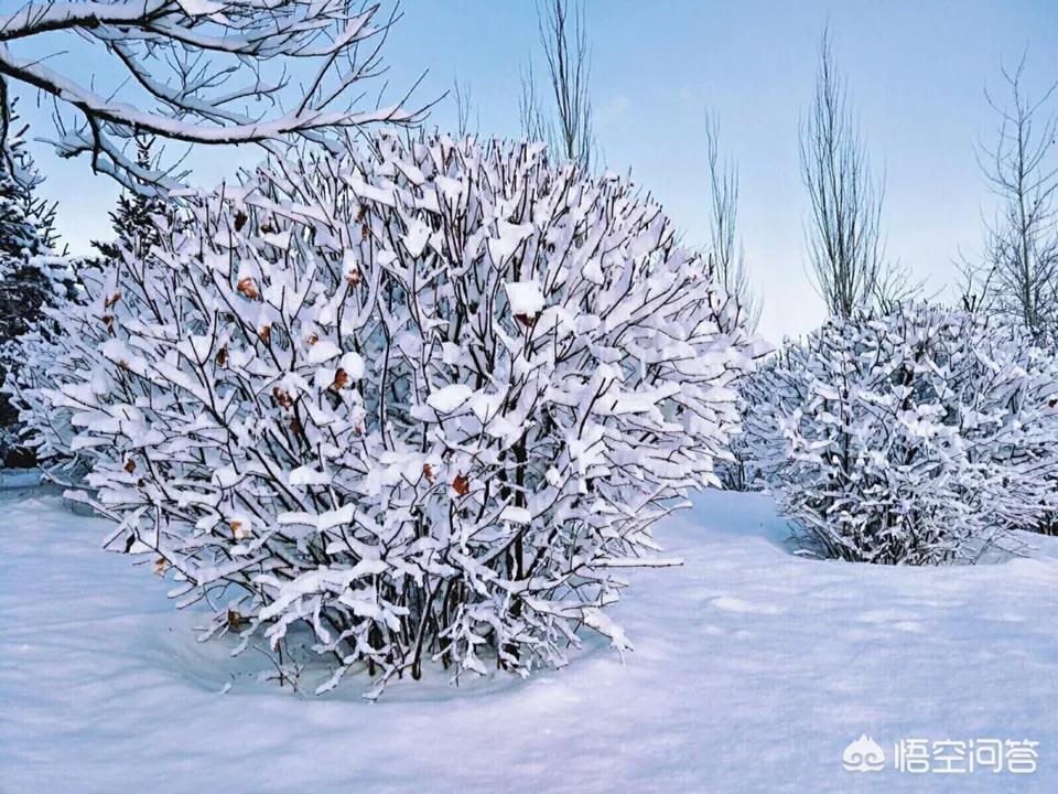 今日科普一下！大风暴雪预警生效中,百科词条爱好_2024最新更新