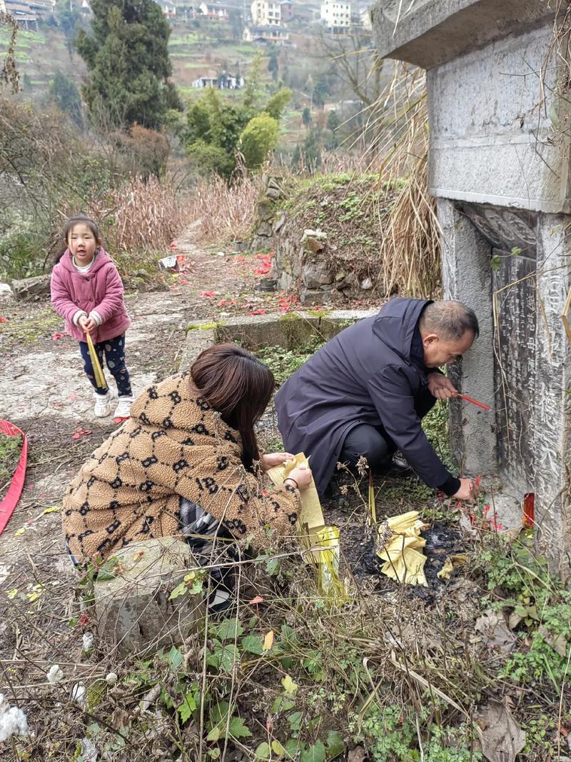 今日科普一下！79岁老人躺板车拜年,百科词条爱好_2024最新更新