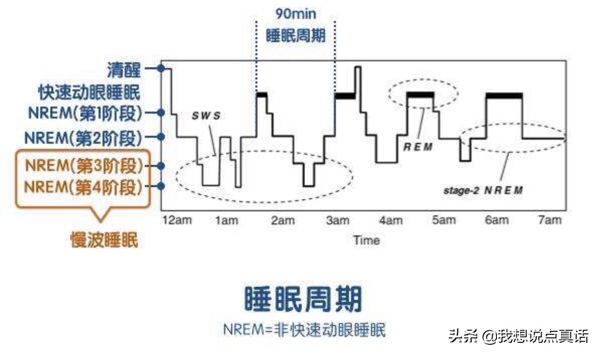 今日科普一下！一觉睡到天亮入睡法,百科词条爱好_2024最新更新